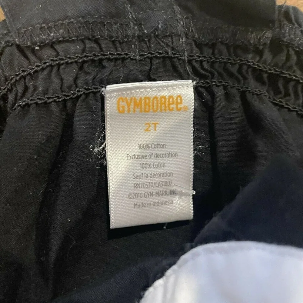 Gymboree girls 2t